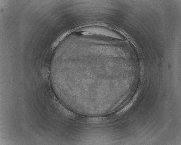 X0000078290985200612011805