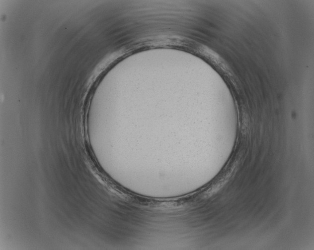 X0000078290986200612011805