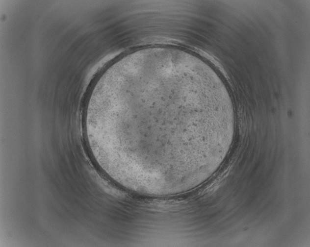 X0000078290987200612011805