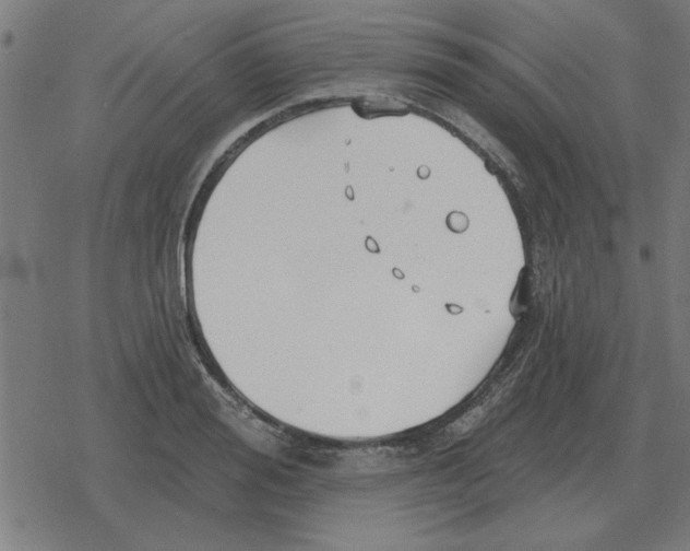 X0000078290988200612011805