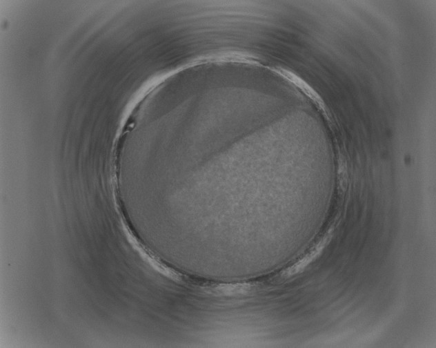 X0000078290989200612011804