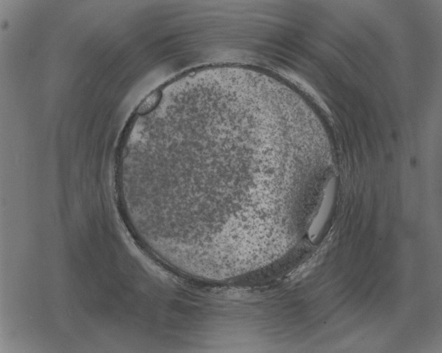 X0000078290991200612011804