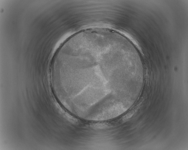 X0000078290998200612011804