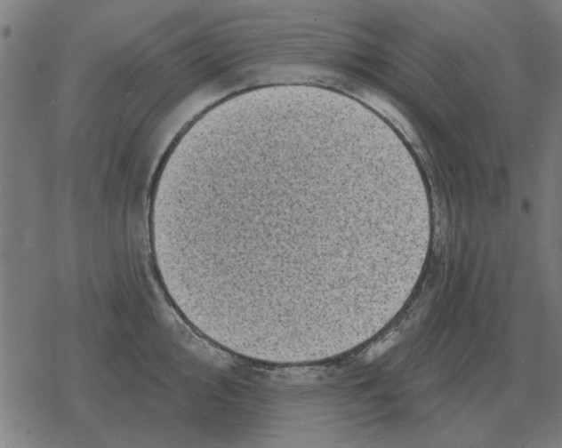 X0000078291000200612011804