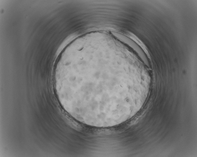 X0000078291002200612011804