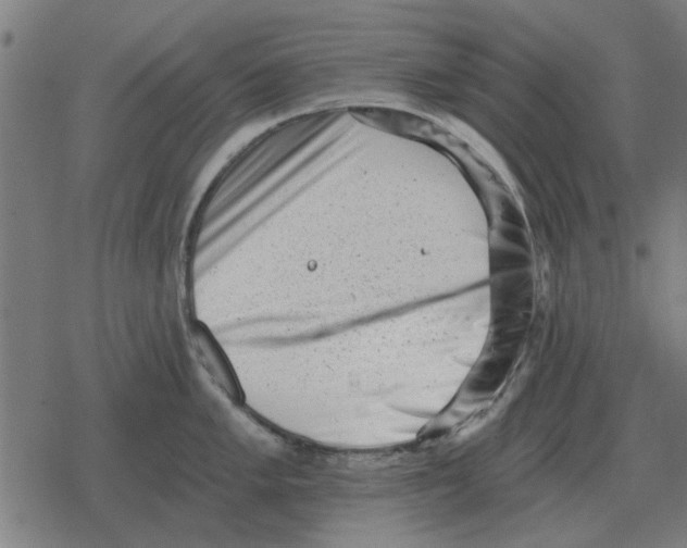 X0000078291005200612011804