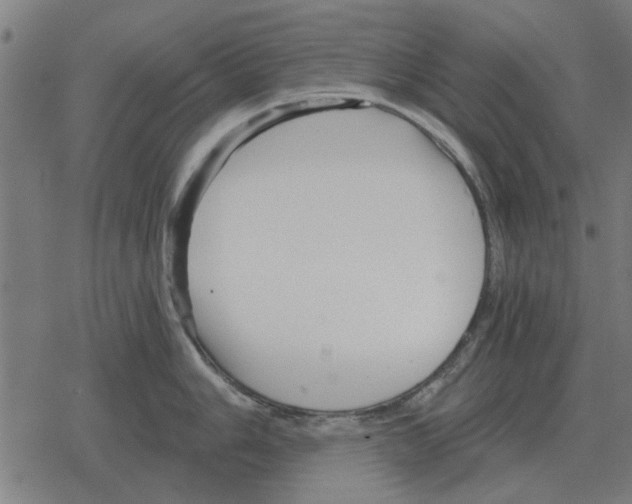 X0000078291006200612011804