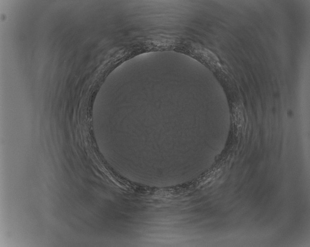 X0000078291009200612011803