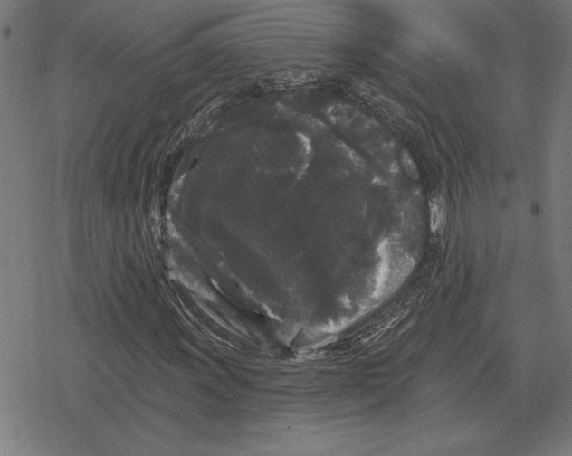 X0000078291011200612011803