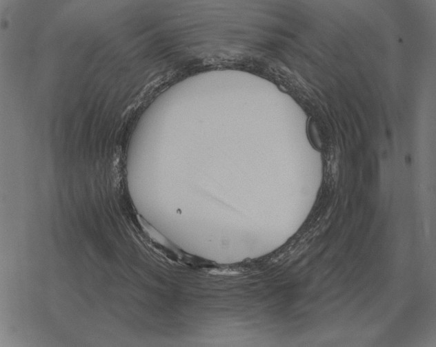 X0000078291012200612011803