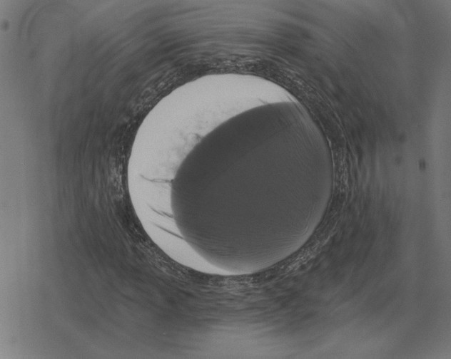 X0000078291013200612011803