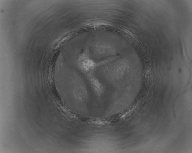 X0000078291014200612011803