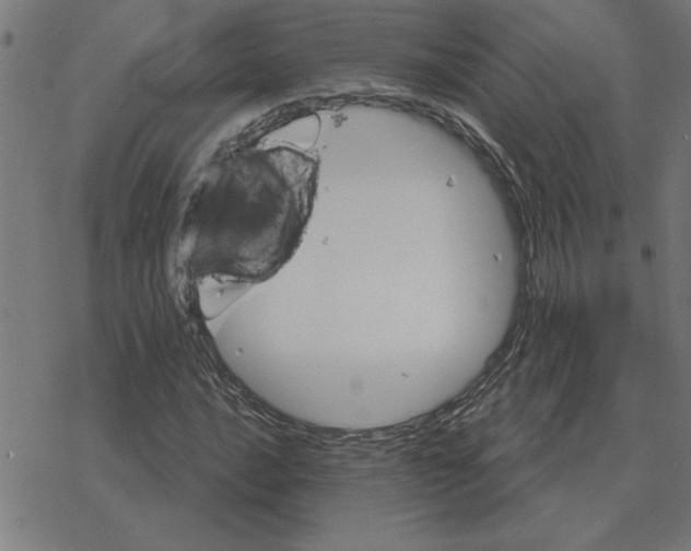 X0000078291016200612011804