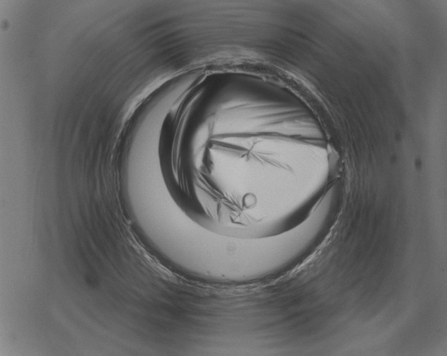 X0000078291018200612011804