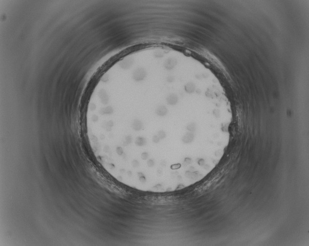 X0000078291020200612011804