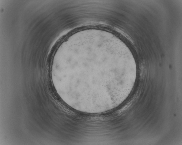 X0000078291021200612011804