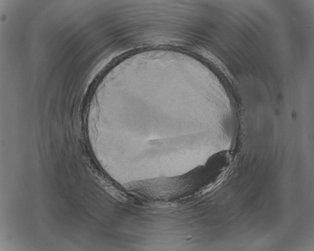 X0000078291023200612011804