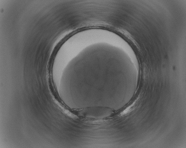 X0000078291024200612011804