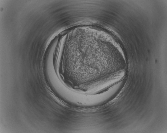 X0000078291026200612011804