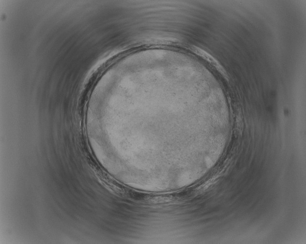 X0000078291027200612011804