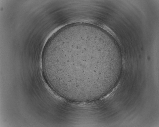 X0000078291028200612011804