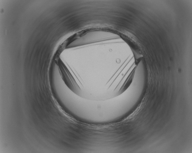 X0000078291030200612011804