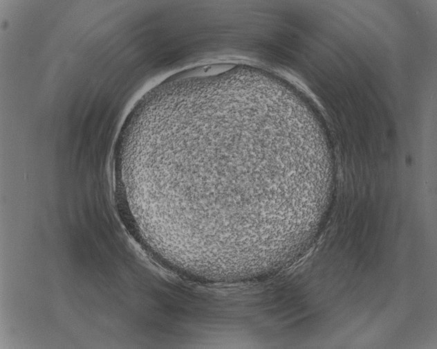 X0000078291032200612011804