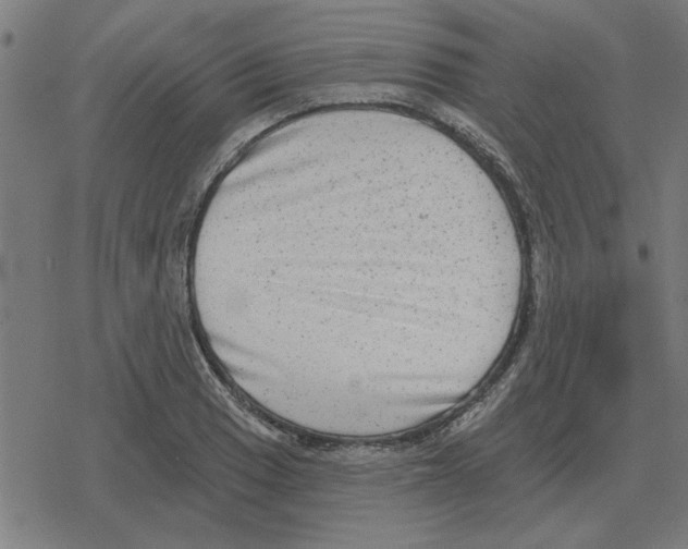 X0000078291033200612011804