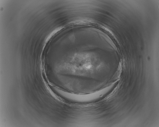 X0000078291034200612011804