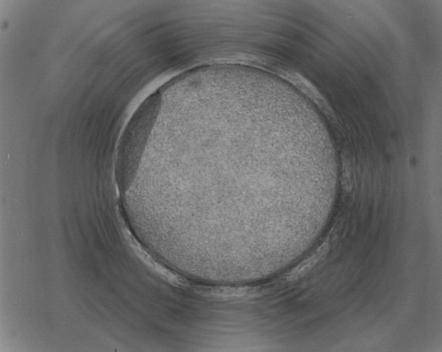 X0000078291036200612011804