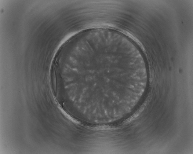 X0000078291037200612011804