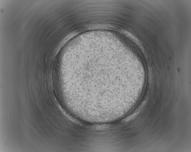 X0000078291041200612011804