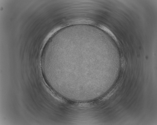 X0000078291043200612011804