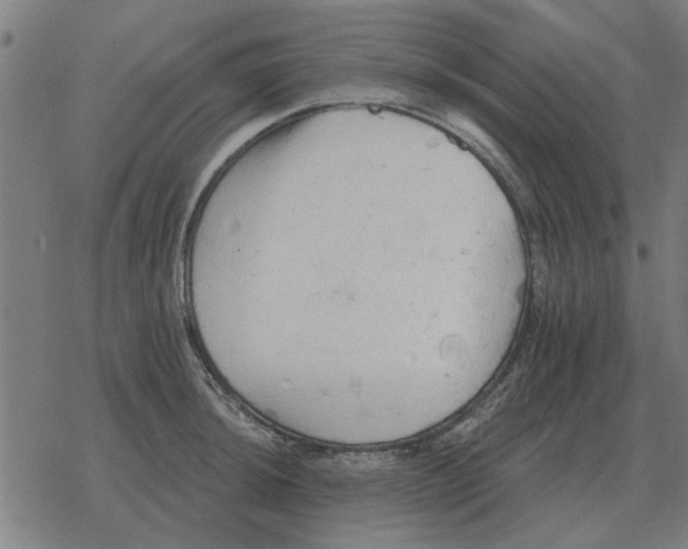 X0000078291044200612011804