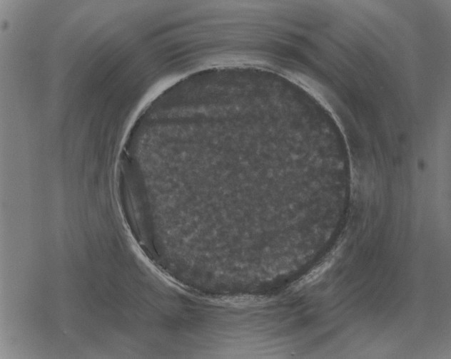 X0000078291045200612011804