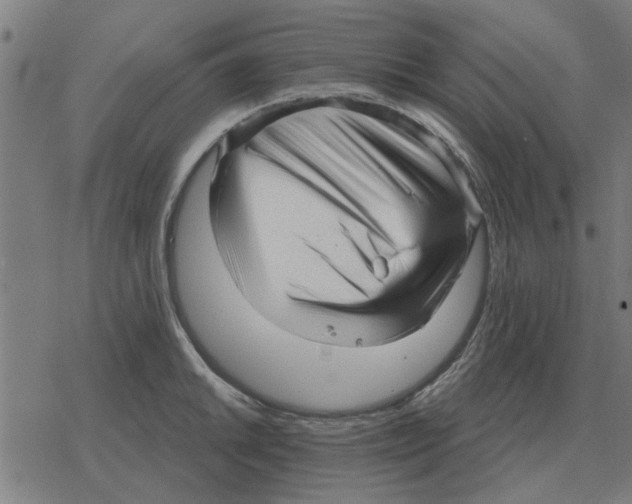 X0000078291046200612011804