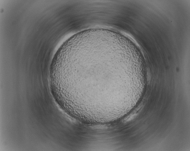 X0000078291048200612011804