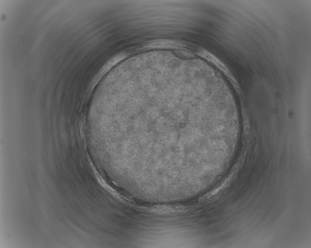 X0000078291049200612011804