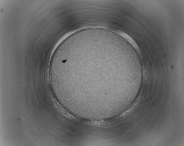 X0000078291052200612011804