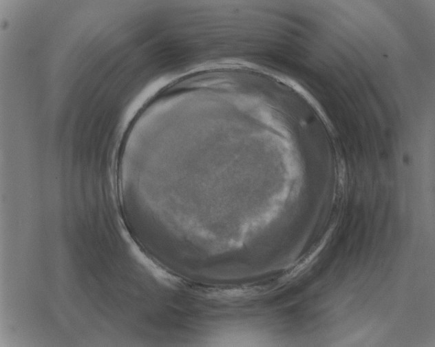 X0000078291054200612011804