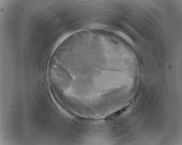 X0000078291055200612011804