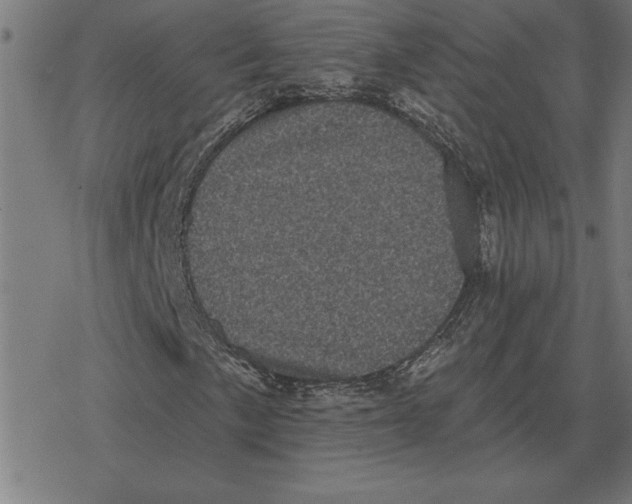 X0000078291057200612011803