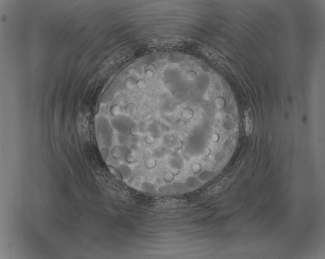 X0000078291059200612011803