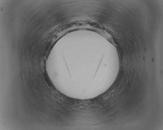 X0000078291062200612011803