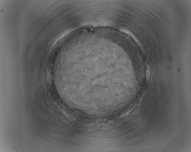 X0000078291064200612011803