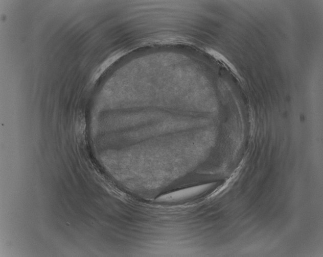 X0000078291065200612011803