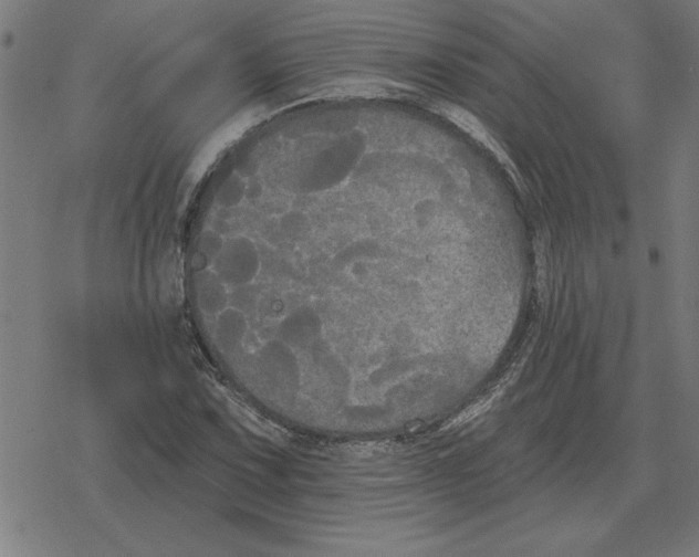 X0000078291067200612011803