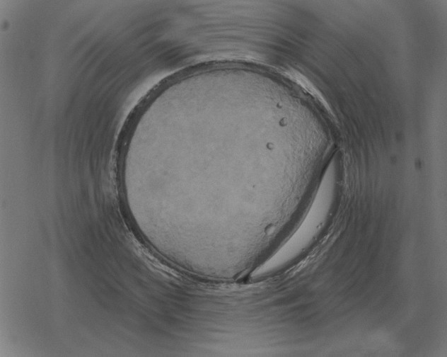 X0000078291068200612011803