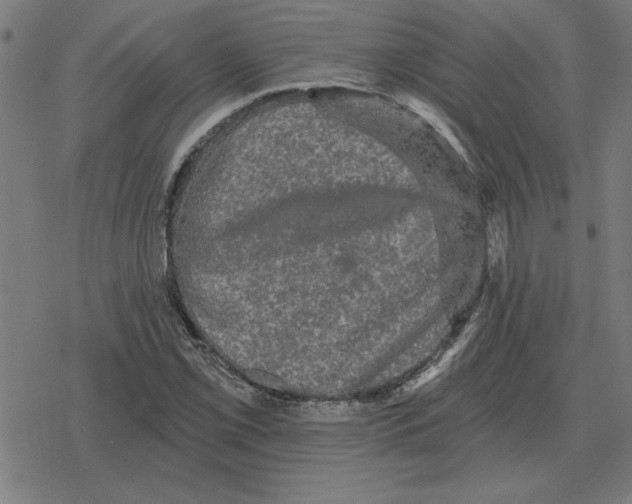 X0000078291069200612011803