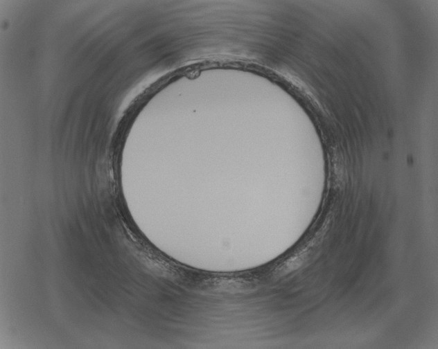 X0000078291070200612011803